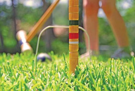 Love Lawn Games Image